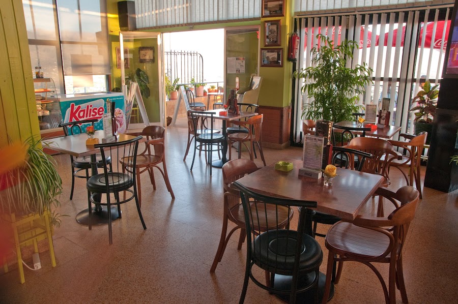 Geisha Embassy Luxury Coffee Shop by Mirador el Time