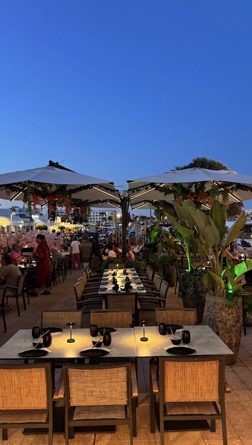 Bonsai Ibiza