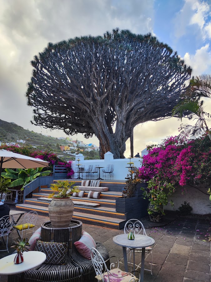 La Casa del Drago