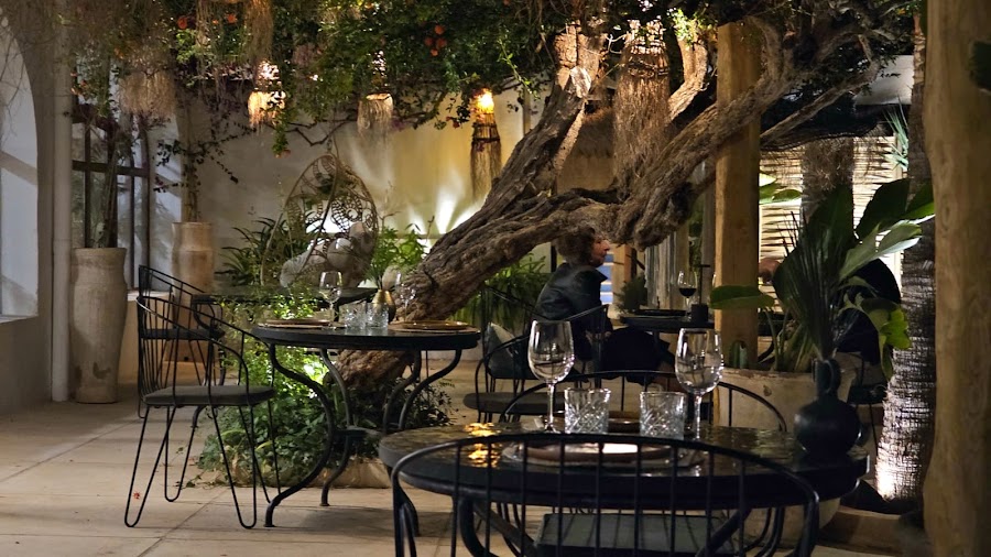 Palm Ibiza