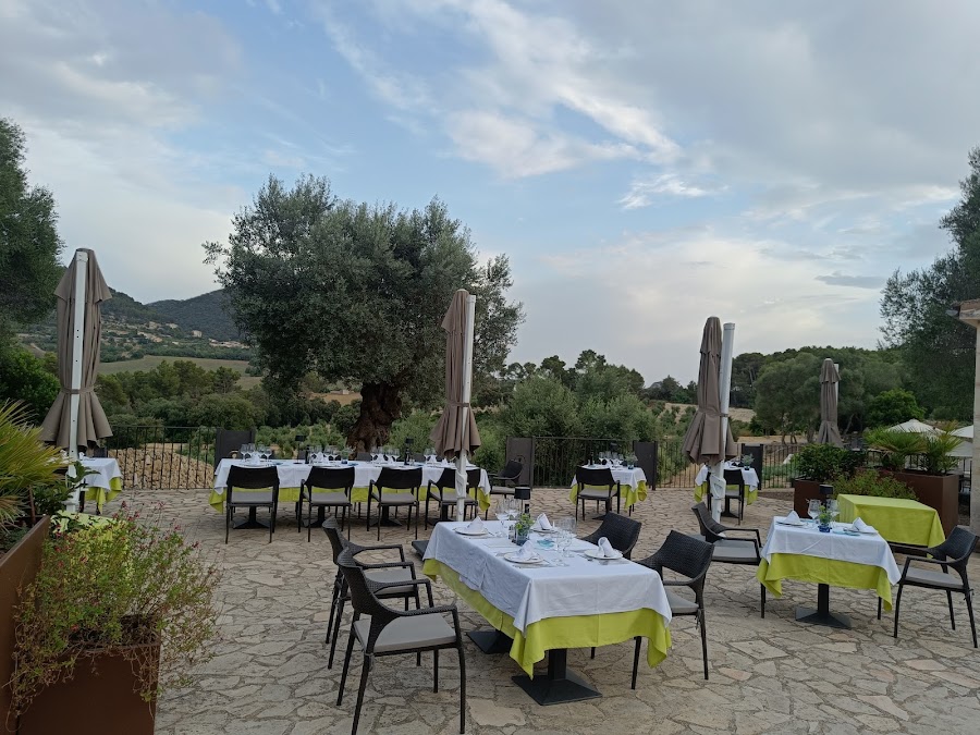 Restaurant Treurer Olive Grove